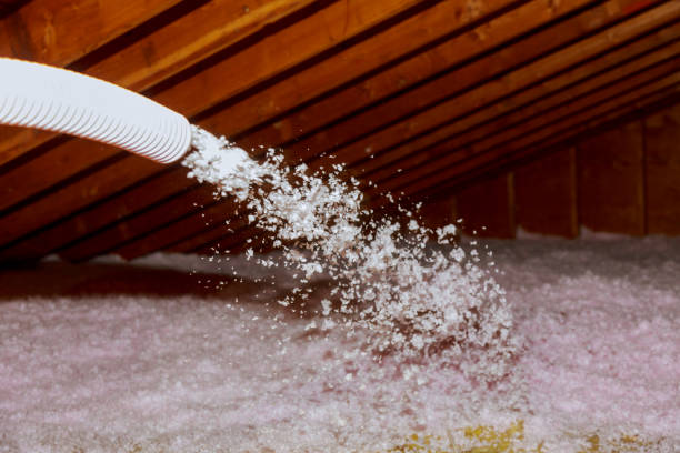 Best Specialized Insulation Services in Montura, FL